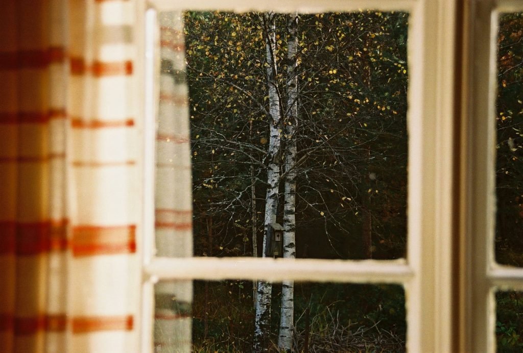 برندگان مسابقه عکاسی آنالوگ ۲۰۲۵ معارفه شدند؛ از قطب شمال تا گاتهام_آفتاب شرق 44 مسابقه عکاسی آنالوگ ۲۰۲۵