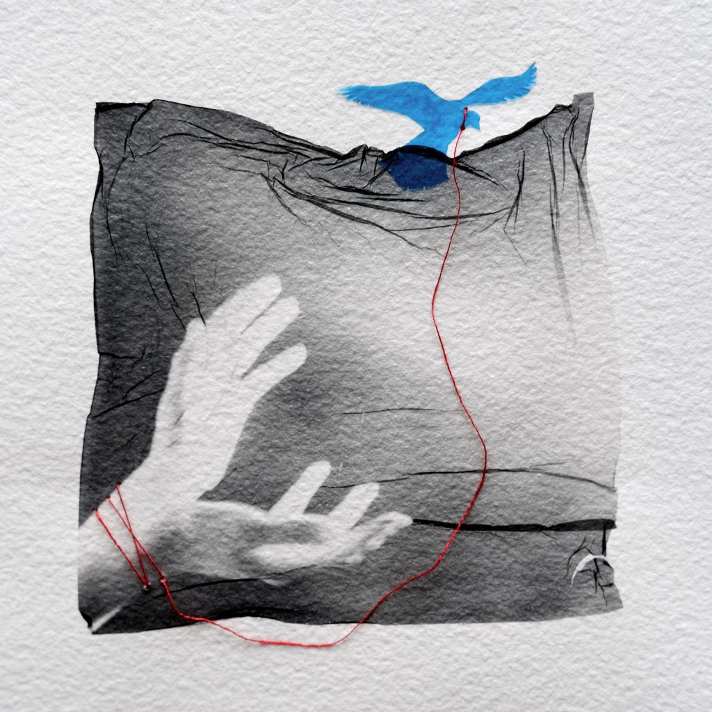 برندگان مسابقه عکاسی آنالوگ ۲۰۲۵ معارفه شدند؛ از قطب شمال تا گاتهام_آفتاب شرق 48 مسابقه عکاسی آنالوگ ۲۰۲۵