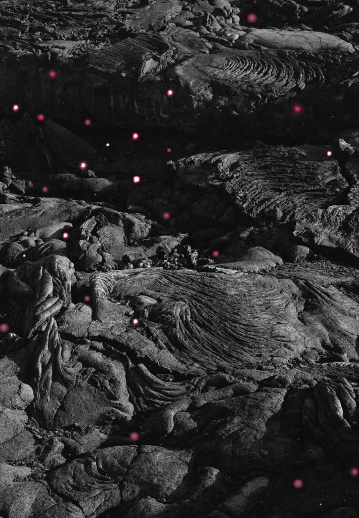 برندگان مسابقه عکاسی آنالوگ ۲۰۲۵ معارفه شدند؛ از قطب شمال تا گاتهام_آفتاب شرق 49 مسابقه عکاسی آنالوگ ۲۰۲۵