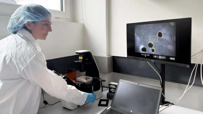 کامپیوتر با سلول‌های زنده