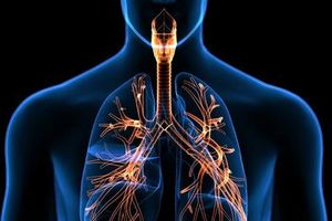 ۵ تمرین برای تحکیم ریه_آفتاب شرق 2 ۵ تمرین برای تقویت ریه