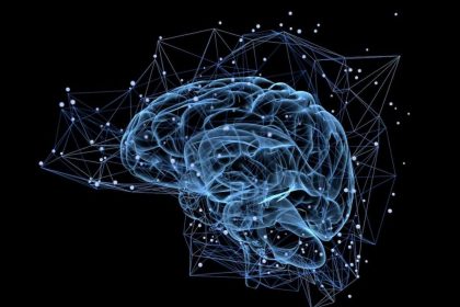 تمرینات ذهنی مغز