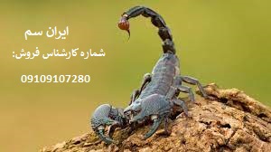 نابودی قطعی عقربها با سموم تخصصی شرکت ایران سم 14 نابودی قطعی عقربها با سموم تخصصی شرکت ایران سم