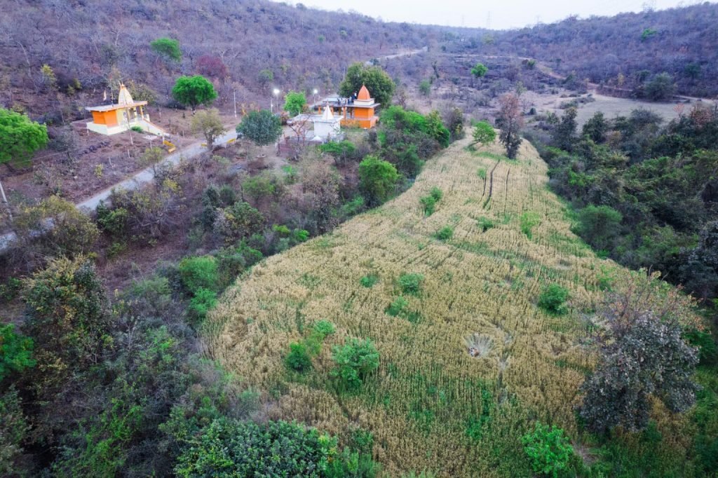 1763758457 49 برندگان جایزه عکاسی Nature inFocus سال ۲۰۲۵ اشکار شدند آفتاب شرق