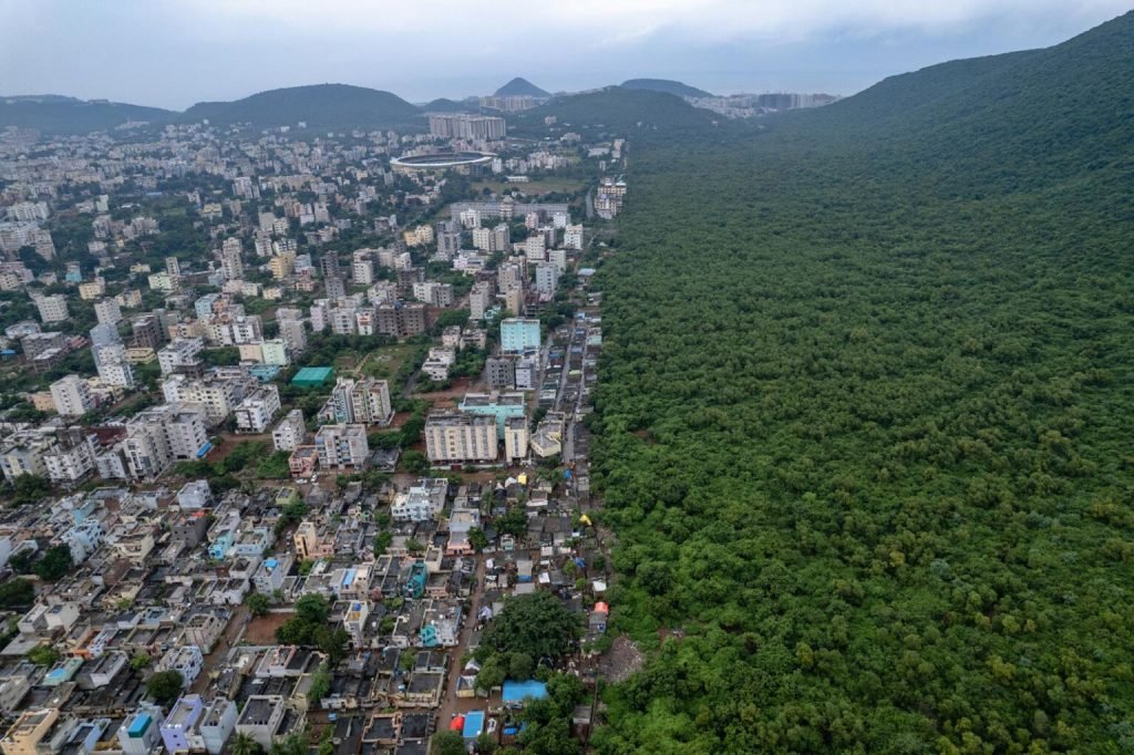 1763758458 2 برندگان جایزه عکاسی Nature inFocus سال ۲۰۲۵ اشکار شدند آفتاب شرق