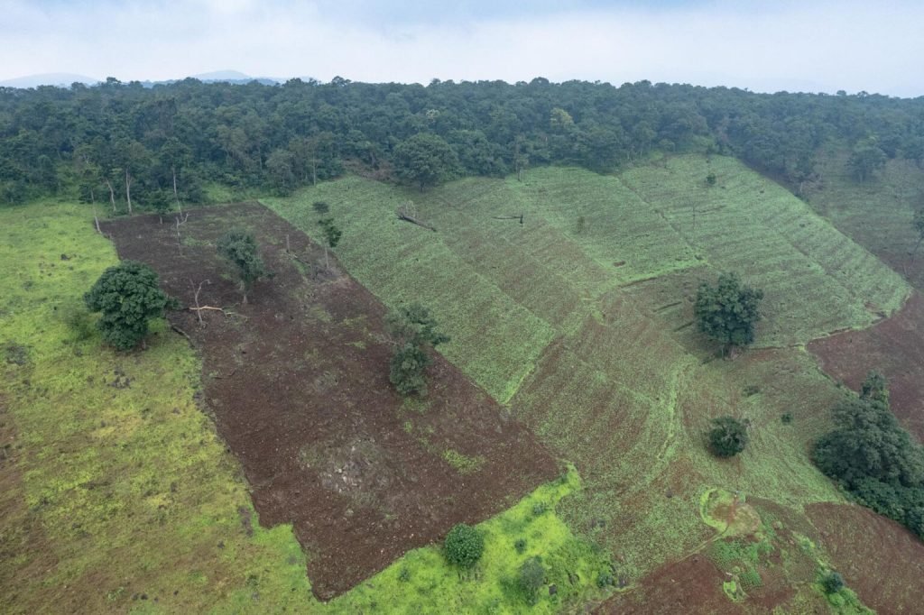 1763758459 202 برندگان جایزه عکاسی Nature inFocus سال ۲۰۲۵ اشکار شدند آفتاب شرق