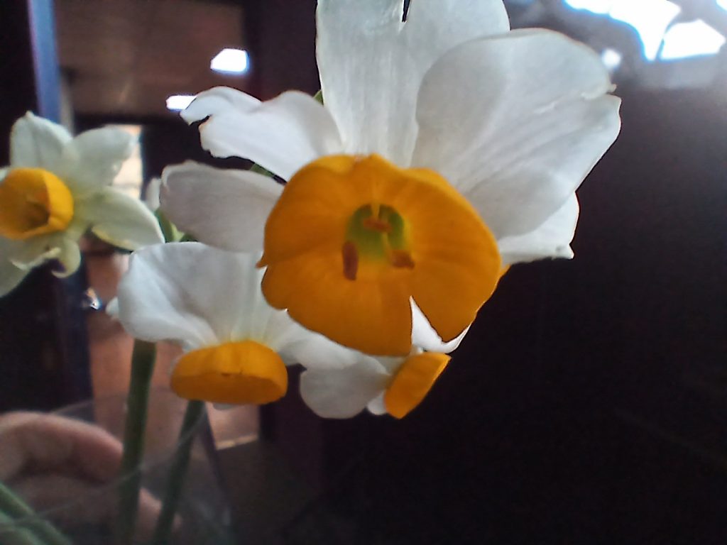 1764040816 495 بازدید گوشی Samsung Galaxy A17 4G کافی نیست آفتاب شرق