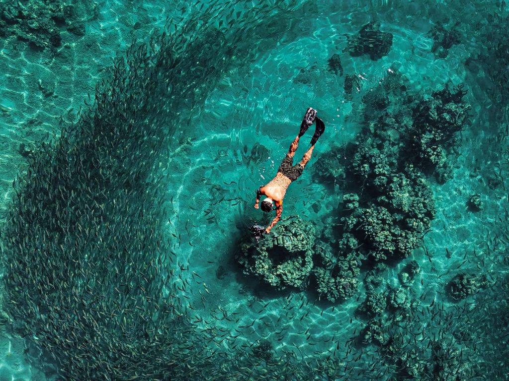 برندگان مسابقه عکاسی اقیانوسیه ۲۰۲۵ اشکار شدند + گالری_آفتاب شرق 75 مسابقه عکاسی اقیانوسیه ۲۰۲۵