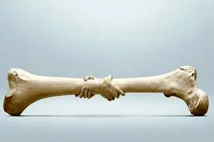 راه حل جدید‌ برای درمان پوکی استخوان