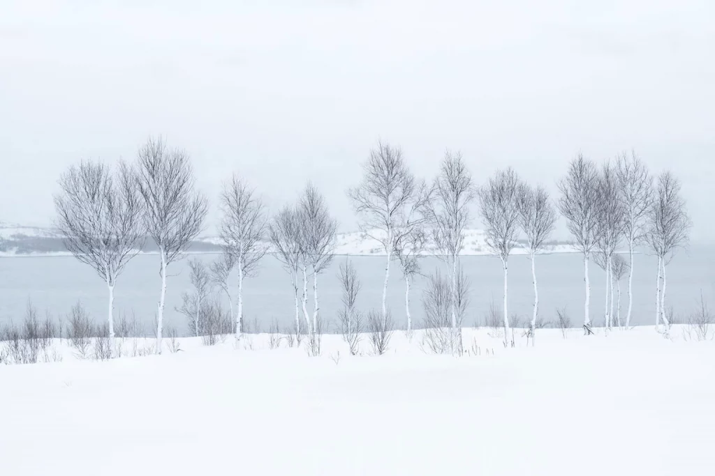 1764900019 617 برندگان دوازدهمین دوره جایزه بین‌المللی عکاس منظره سال اشکار شدند آفتاب.webp