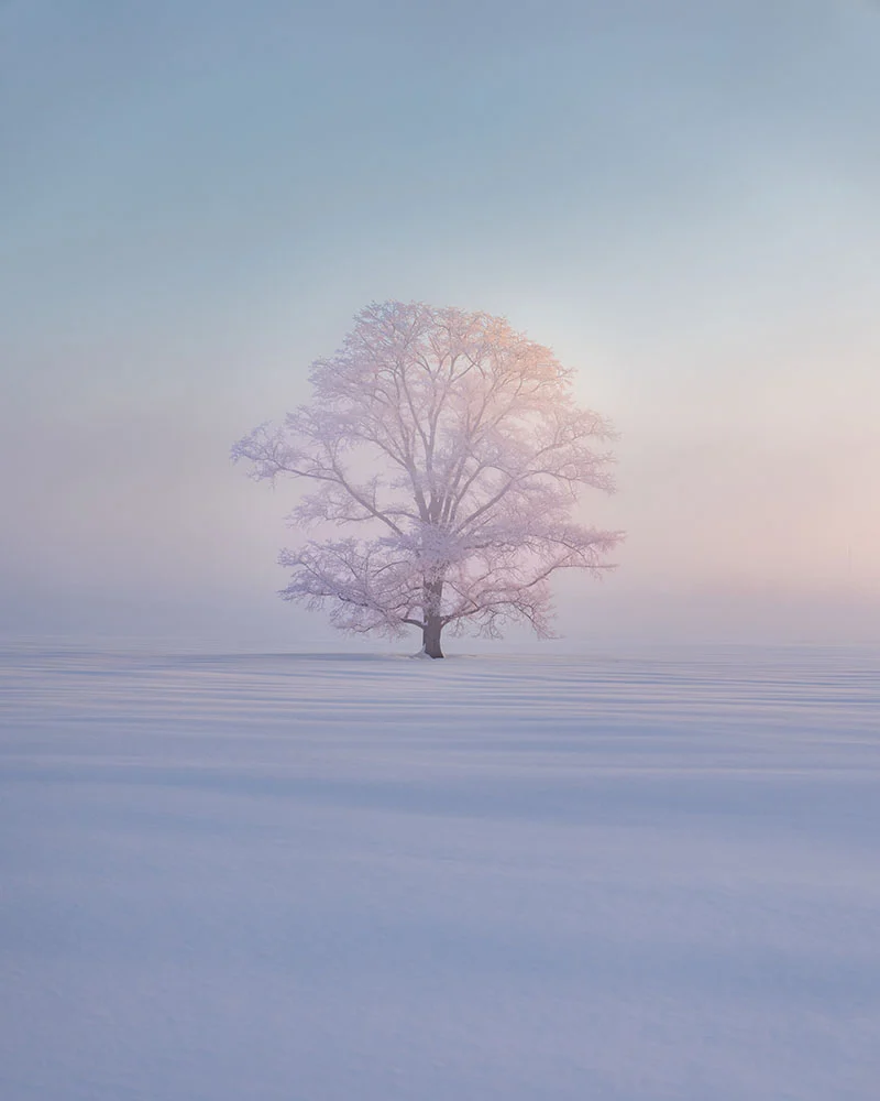 1764900021 380 برندگان دوازدهمین دوره جایزه بین‌المللی عکاس منظره سال اشکار شدند آفتاب.webp