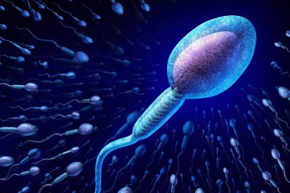 چرا الکل بر اسپرم تاثیر می گذارد؟