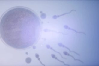 یک اهداکننده اسپرم با جهش نادر سرطان‌زا پدر نزدیک به 200 کودک در اروپا