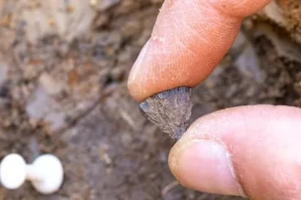 انسان‌ها 350 هزار سال زودتر از تصور قبلی ما آتش را مهار کردند