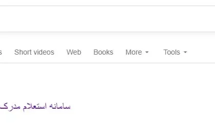 صفحه سرچ گوگل برای ورود به سامانه