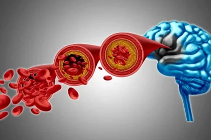 ساختار مولکولی مغز