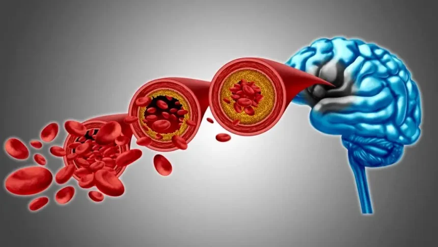 ساختار مولکولی مغز