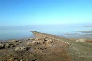 بازگشت حیات به تالاب کجی نمکزار نهبندان/ ویدئو