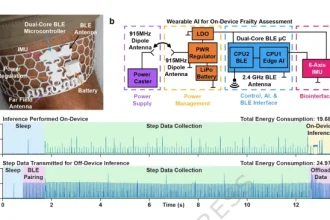 تصویری از گجت پوشیدنی و داده‌های آن