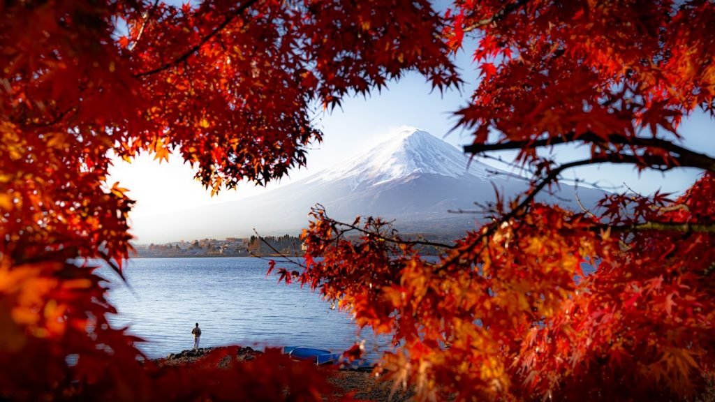 مسابقه عکاسی سونی جوانان ۲۰۲۶