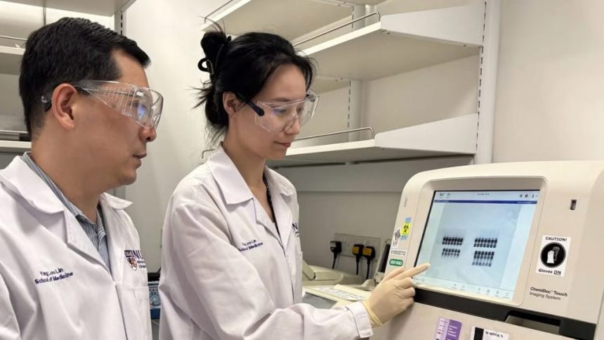 کشف پروتئین معکوس‌کننده پیری مغز