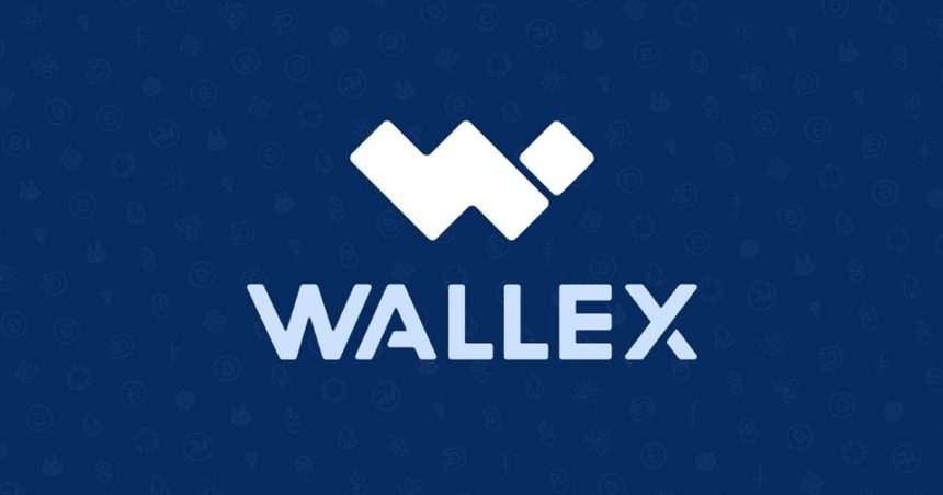 والکس خبر تحریم صرافی‌های رمزارزی را رد کرد.