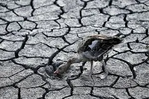 قرن خشکی در راه است؛ بهره‌برداری۸۰ درصدی ایران از منابع آب‌های زیرزمینی