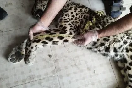 photo_2026-04-14_14-41-06 - Copy