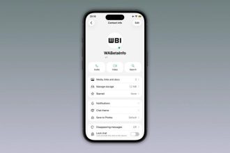 واتس‌اپ در آیفون قابلیت نمایش وضعیت آنلاین با نقطه سبز را آزمایش می‌کند