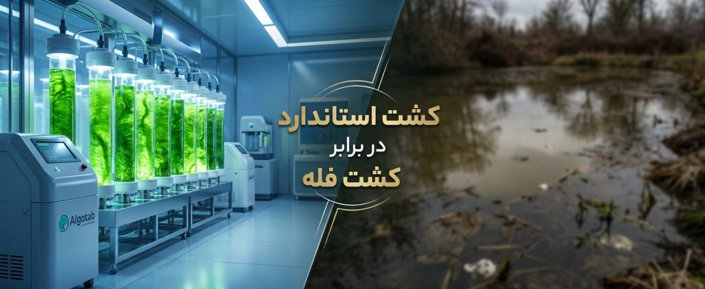 نقد و بررسی محصولات آلگوتب؛ آیا اسپیرولینای ایرانی ارزش خرید دارد؟