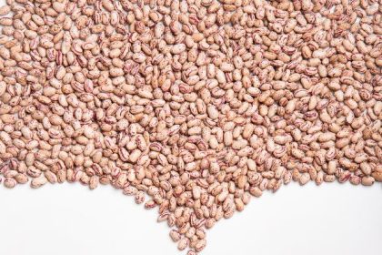 چگونه کیفیت ماده اولیه بر رضایت مشتری نهایی کنسرو اثر می‌گذارد؟