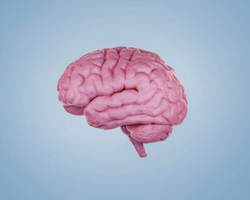 غیرفعال کردن اینترنت موبایل می‌تواند فرایند پیری مغز را معکوس کند