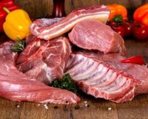 این گروه‌ها در خطر ابتلا به تب کنگو هستند