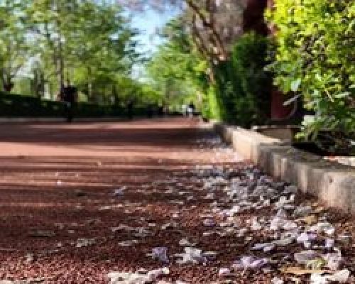 مجموعه‌ فرهنگی و ورزشی انقلاب تعطیل شد