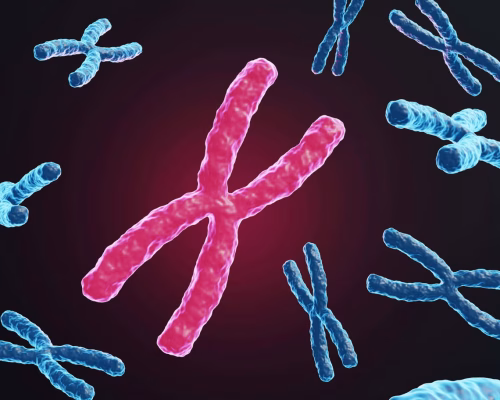 پروژه بحث‌برانگیز ساخت DNA انسان از صفر برای اولین بار در جهان آغاز شد