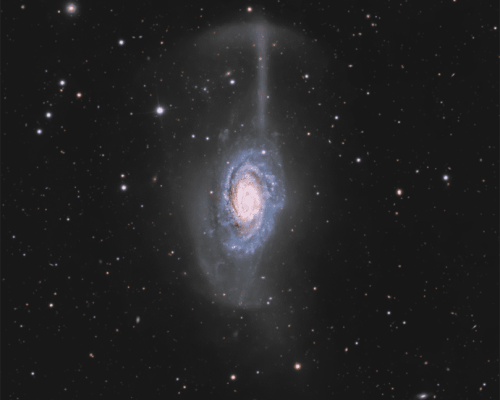 NGC 4651؛ کهکشان چتر