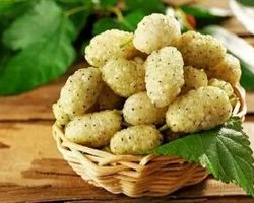 خوردن این میوه برابر است با یک داروی ضدافسردگی