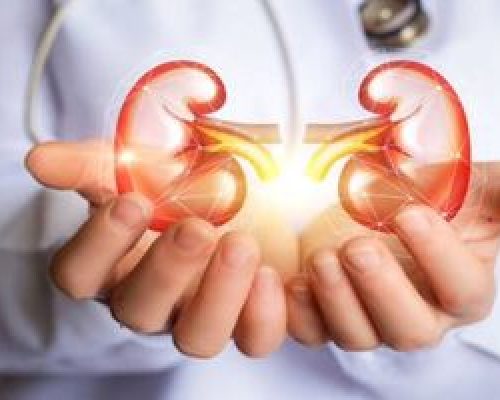علائم سنگ کلیه چیست و چه افرادی بیشتر در معرض ابتلا هستند؟