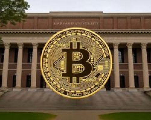 هاروارد عاشق بیت کوین شد
