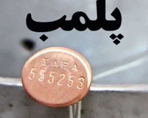 پاساژ مهستان پلمب می‌شود
