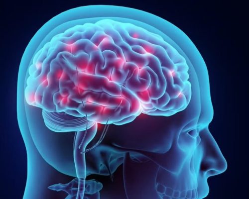 تأثیر چربی مغز بر آلزایمر