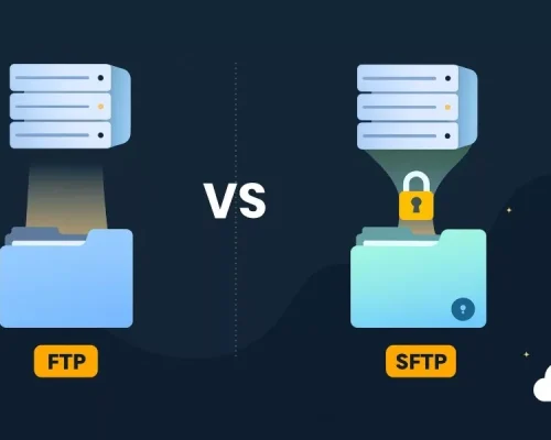 راهنمای انتقال سایت به سرور مجازی خارج (VPS اروپا)