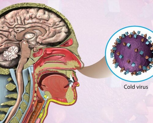 راهکاری برای رفع گرفتگی بینی/ خلط پشت حلق را چگونه درمان کنیم؟