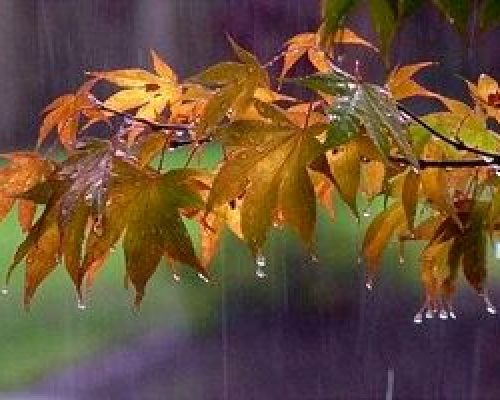آغاز بارش های پائیزی در برخی مناطق کشور