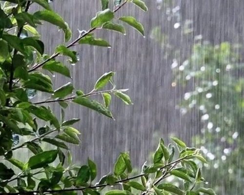 زمستان و بهار پربارشی نخواهیم داشت