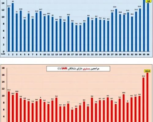 آنفلوآنزا در صدر عفونت‌های تنفسی/ وضعیت ابتلا در ۷ استان بالاتر از میانگین کشوری