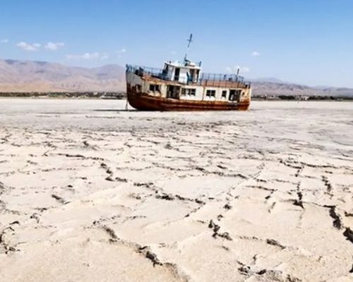 «بادهای سمی»؛ تبعات خشک شدن تالاب ها و دریاچه ها/ ویدئو
