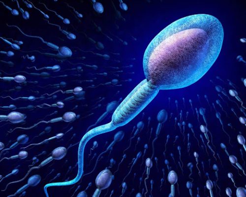 چرا الکل بر اسپرم تاثیر می گذارد؟