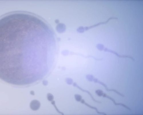 یک اهداکننده اسپرم با جهش نادر سرطان‌زا پدر نزدیک به 200 کودک در اروپا