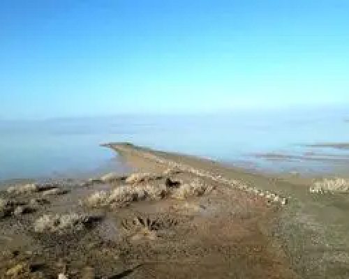بازگشت حیات به تالاب کجی نمکزار نهبندان/ ویدئو